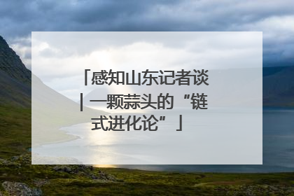 感知山东记者谈｜一颗蒜头的“链式进化论”