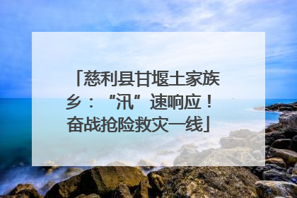 慈利县甘堰土家族乡：“汛”速响应！奋战抢险救灾一线