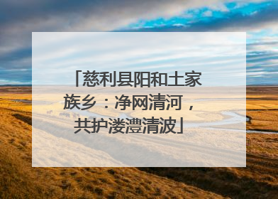 慈利县阳和土家族乡：净网清河，共护溇澧清波