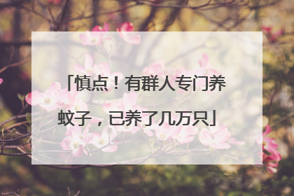 慎点！有群人专门养蚊子，已养了几万只