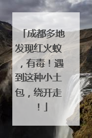 成都多地发现红火蚁，有毒！遇到这种小土包，绕开走！