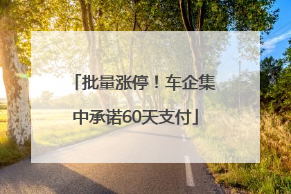批量涨停！车企集中承诺60天支付