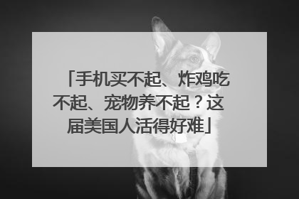 手机买不起、炸鸡吃不起、宠物养不起？这届美国人活得好难