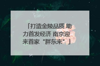 打造金陵品质 助力首发经济 南京迎来首家“胖东来”