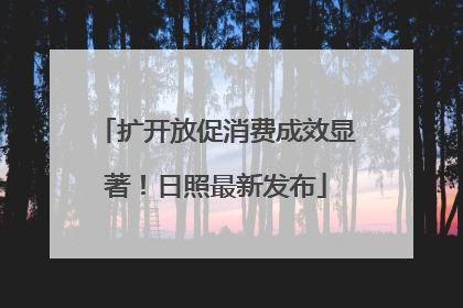扩开放促消费成效显著！日照最新发布