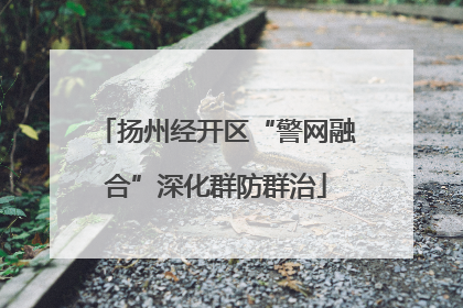 扬州经开区“警网融合”深化群防群治