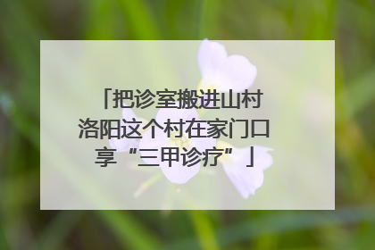 把诊室搬进山村 洛阳这个村在家门口享“三甲诊疗”