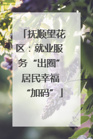 抚顺望花区：就业服务“出圈” 居民幸福“加码”