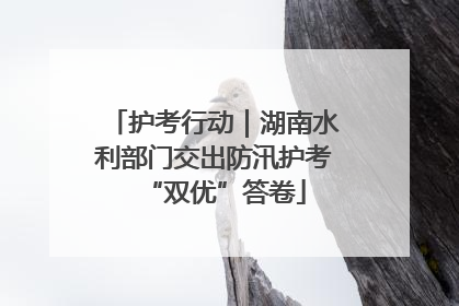 护考行动｜湖南水利部门交出防汛护考“双优”答卷