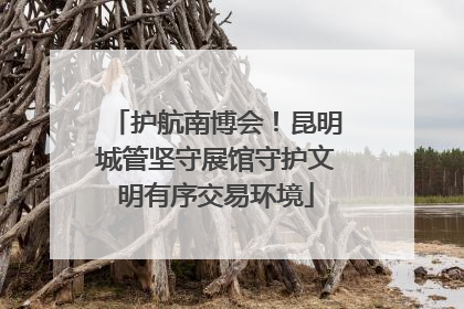 护航南博会！昆明城管坚守展馆守护文明有序交易环境