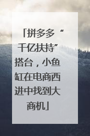 拼多多“千亿扶持”搭台，小鱼缸在电商西进中找到大商机