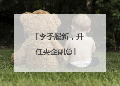 李季履新，升任央企副总