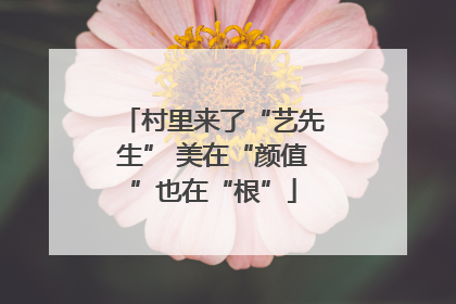 村里来了“艺先生” 美在“颜值”也在“根”