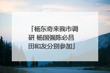 杨东奇来我市调研 杨国强陈必昌田和友分别参加