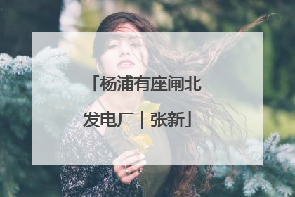 杨浦有座闸北发电厂｜张新