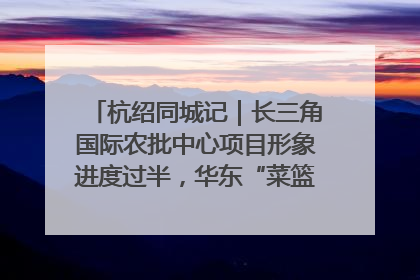 杭绍同城记｜长三角国际农批中心项目形象进度过半，华东“菜篮子”建设加码提速！