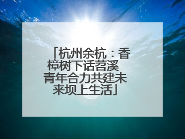 杭州余杭：香樟树下话苕溪 青年合力共建未来坝上生活