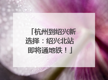 杭州到绍兴新选择：绍兴北站即将通地铁！