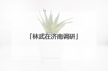 林武在济南调研