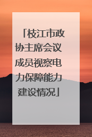枝江市政协主席会议成员视察电力保障能力建设情况