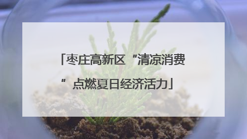 枣庄高新区“清凉消费”点燃夏日经济活力