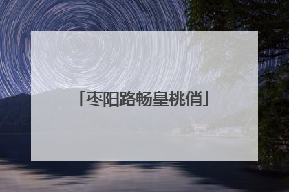 枣阳路畅皇桃俏