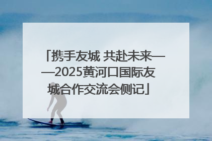 携手友城 共赴未来——2025黄河口国际友城合作交流会侧记
