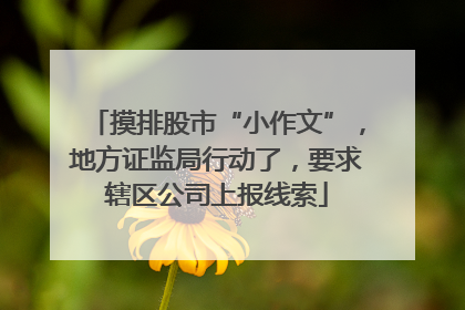 摸排股市“小作文”，地方证监局行动了，要求辖区公司上报线索