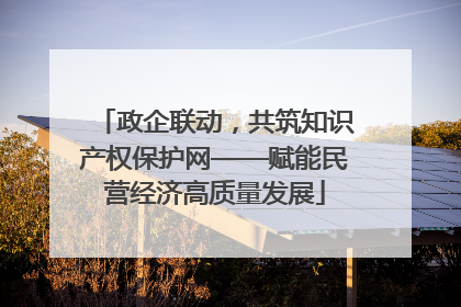 政企联动，共筑知识产权保护网——赋能民营经济高质量发展
