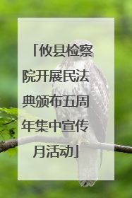 攸县检察院开展民法典颁布五周年集中宣传月活动