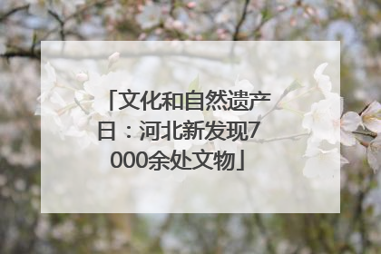 文化和自然遗产日：河北新发现7000余处文物