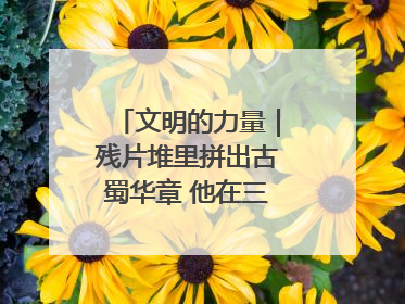文明的力量｜残片堆里拼出古蜀华章 他在三星堆修文物