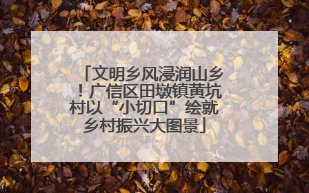 文明乡风浸润山乡！广信区田墩镇黄坑村以“小切口”绘就乡村振兴大图景