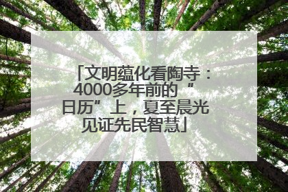 文明蕴化看陶寺：4000多年前的“日历”上，夏至晨光见证先民智慧