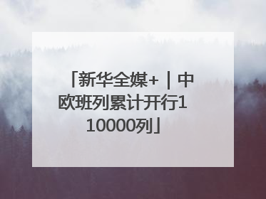 新华全媒+｜中欧班列累计开行110000列