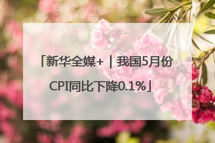 新华全媒+｜我国5月份CPI同比下降0.1%
