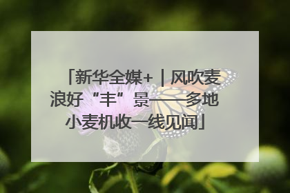 新华全媒+｜风吹麦浪好“丰”景——多地小麦机收一线见闻