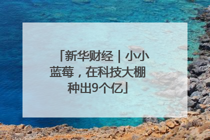 新华财经｜小小蓝莓，在科技大棚种出9个亿
