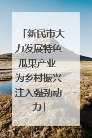 新民市大力发展特色瓜果产业 为乡村振兴注入强劲动力