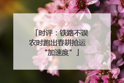 时评：铁路不误农时跑出春耕抢运“加速度”