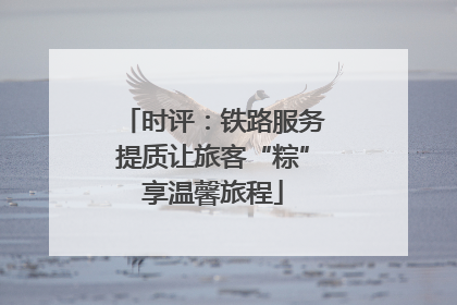 时评：铁路服务提质让旅客“粽”享温馨旅程