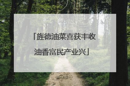 旌德油菜喜获丰收 油香富民产业兴