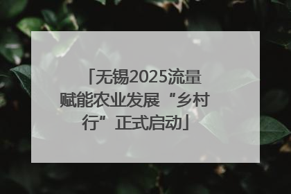 无锡2025流量赋能农业发展“乡村行”正式启动