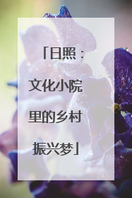 日照：文化小院里的乡村振兴梦
