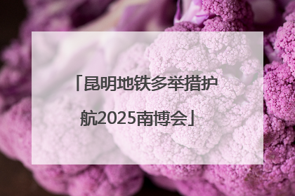 昆明地铁多举措护航2025南博会