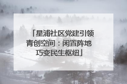 星浦社区党建引领青创空间：闲置阵地巧变民生枢纽