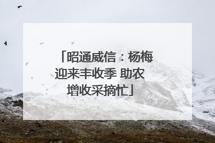 昭通威信：杨梅迎来丰收季 助农增收采摘忙