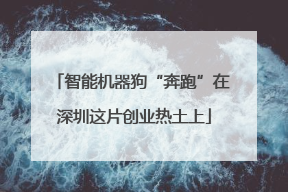 智能机器狗“奔跑”在深圳这片创业热土上