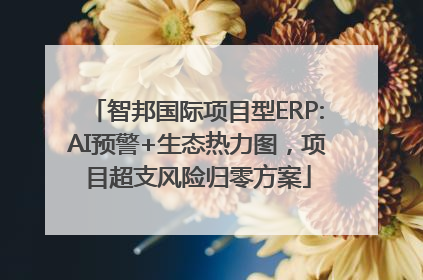 智邦国际项目型ERP:AI预警+生态热力图，项目超支风险归零方案