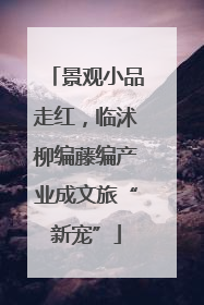 景观小品走红，临沭柳编藤编产业成文旅“新宠”
